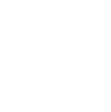 Olympique Lyonnais