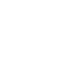 FC Metz